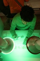 detall de la sala de tast