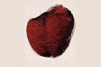 El cor, al vídeo del projecte Alya Red