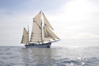 El vaixell 'Fleur de passion'.