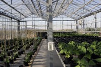 L'Agropolis, un espai dedicat a la recerca en agricultura i enginyeria ambiental de la UPC